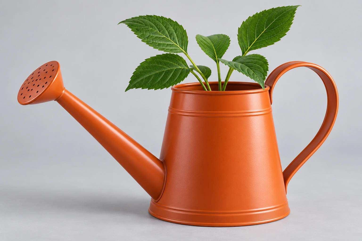 Codex-generated teaching illustration of a terracotta-orange watering can on a light-gray background, with a narrow left-facing spout, a large right-hand handle opening, and green leaves.